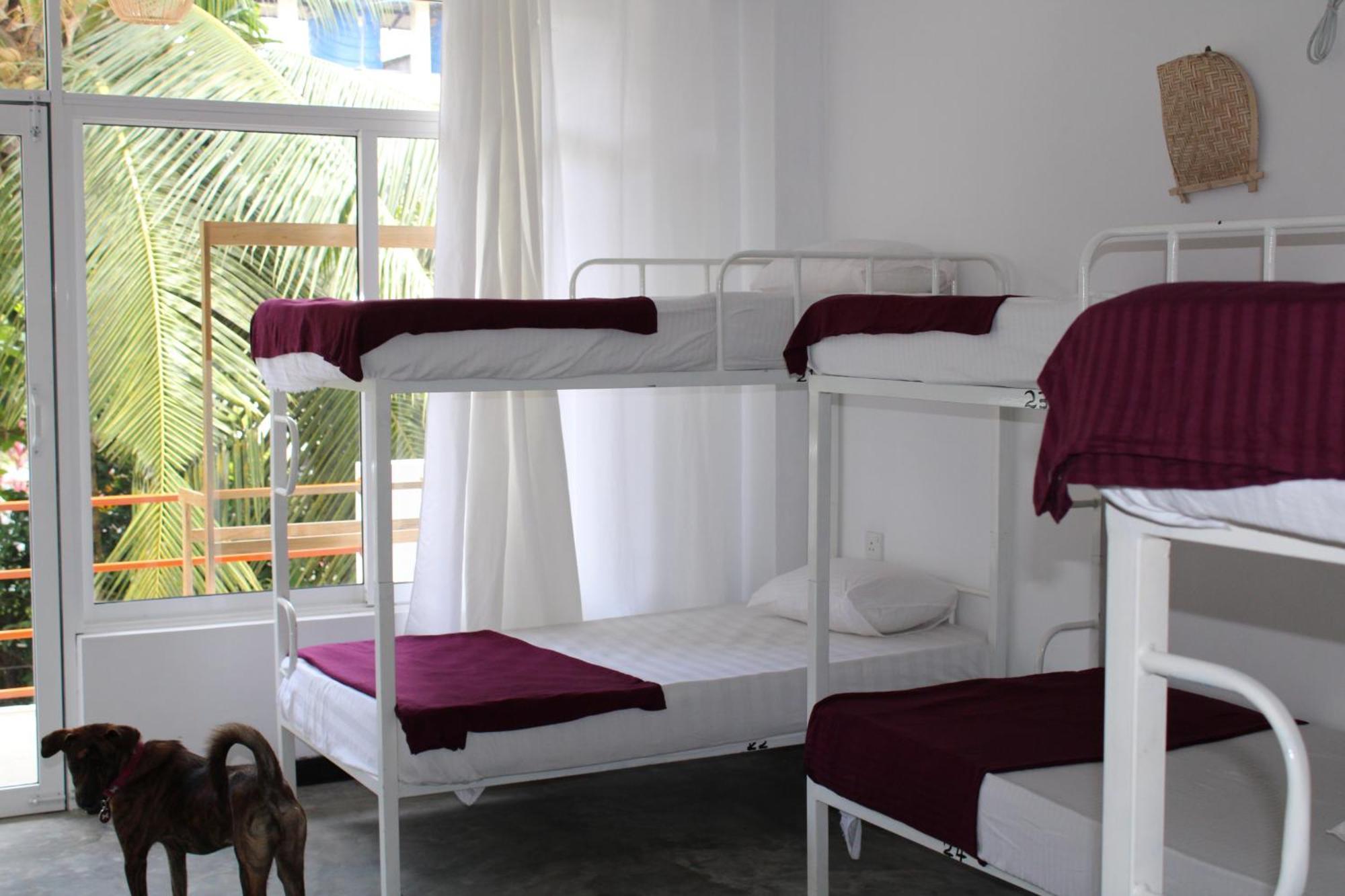 Sun & Moon Hostel Mirissa Zewnętrze zdjęcie